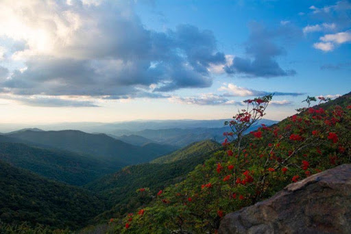 View From the Mountains